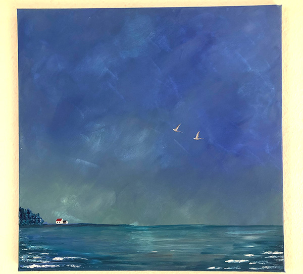 50 x 50 cm
